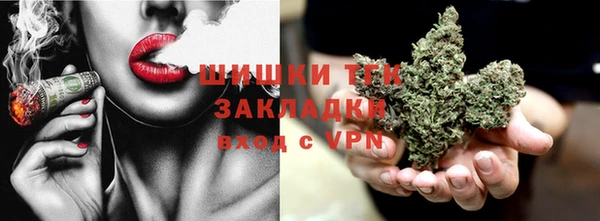 индика Пересвет
