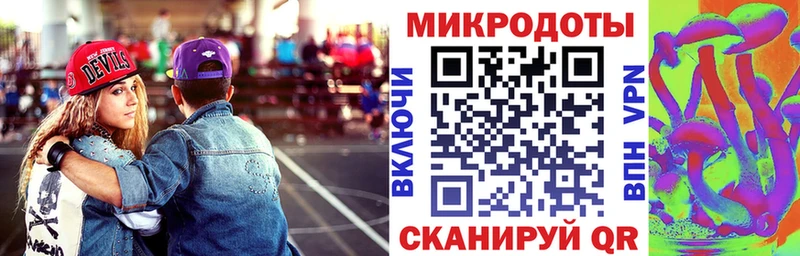 Галлюциногенные грибы Psilocybe Луга