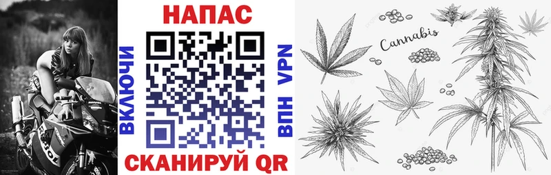МАРИХУАНА сатива  купить  сайты  Луга 